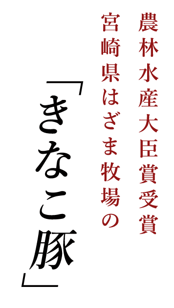 宮崎県はざま牧場の