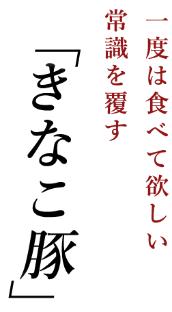 一度は食べて欲しい