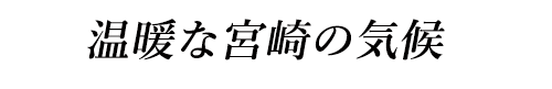 温暖な宮崎の気候